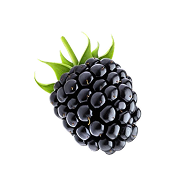 Blackberry