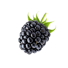 Blackberry