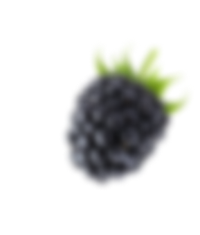 blurred zoomed Blackberry