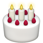 Custom Cakes Icon